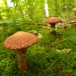 20230731_145107