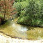 Coolbough Nature Area