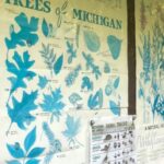 Ensley Township Nature Preserve2
