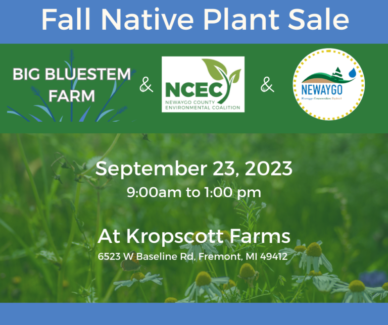 Blue and green background with faded image of native plants; white font