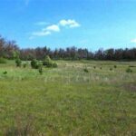Newaygo Prairie Nature Sanctuary