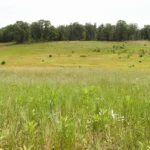 Newaygo Prairie Nature Sanctuary