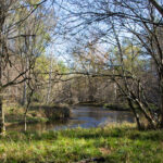 Upper River Nature Preserve