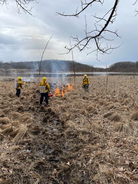Volunteers involved in a prescribed burn in a nature preserve field @ Big Valley Nature Center