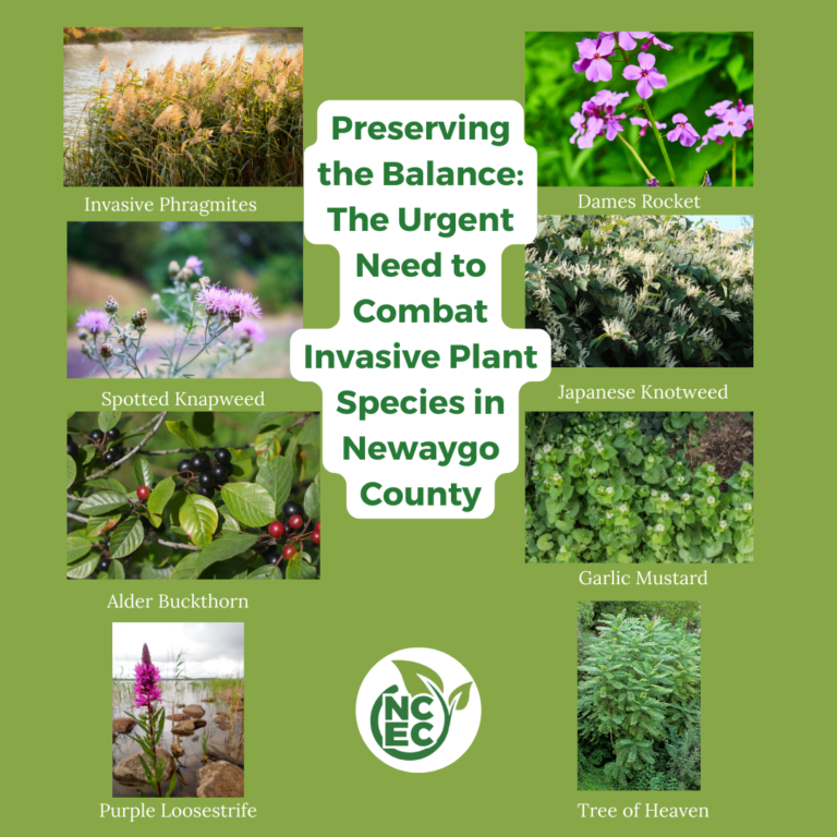 Images of 8 invasive species found in Newaygo County on a background of olive green. Titel in Dark green on a white background.