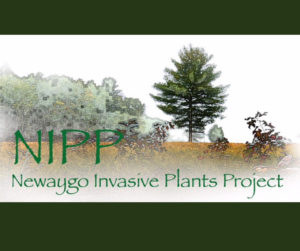 Logo for Newaygo Invasive Plant Project: prairie with green lettering