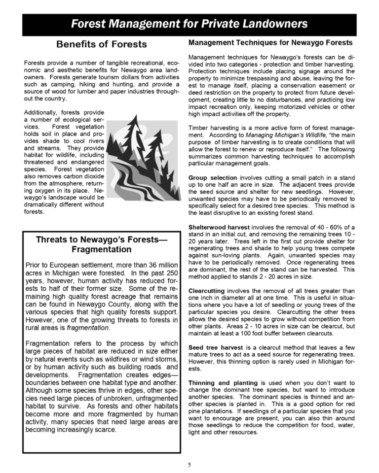 Article of Forest Management